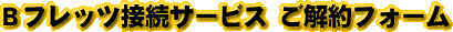 BtbcڑT[rXtH[